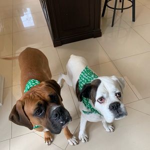 Meet your Posher, Jackie